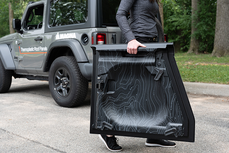 Person carrying a thermoplastics roof panel